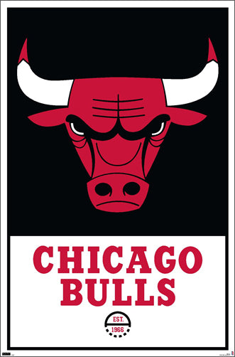 Chicago Bulls 