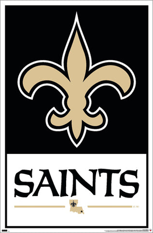 New Orleans Saints Official NFL Football Team Logo and Script Poster ...