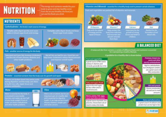 The Basics of NUTRITION Physical Education Fitness Center Wall Chart Poster - PosterFit
