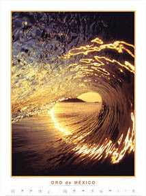 Surfing "Oro de Mexico" Poster Print - Creation Captured
