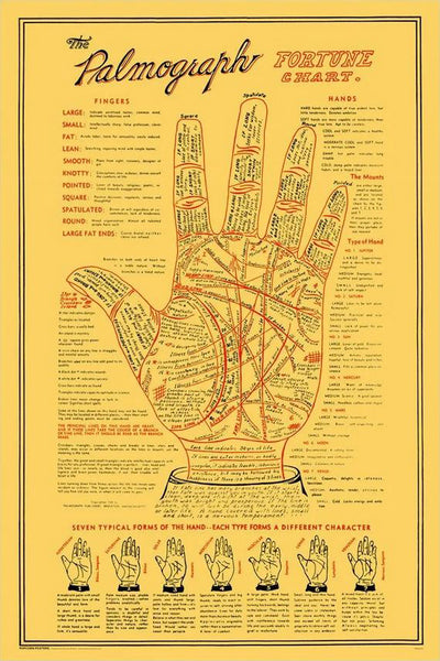 Palm Reading "The Palmograph Fortune Chart" Human Hand Anatomy Poster - Popcorn Posters Inc.