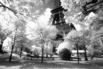 Afternoon in Paris (Parc du Champ de Mars, Eiffel Tower) Classic Black-and-White Poster - NYGS