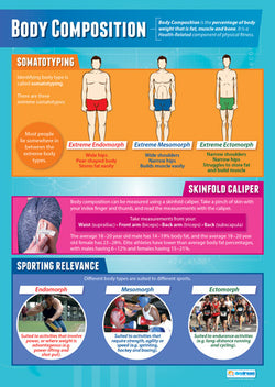Physical Education BODY COMPOSITION Professional Fitness Wall Chart Poster - Posterfit