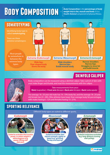 Body Composition Examples In Sport Body Composition In Sport