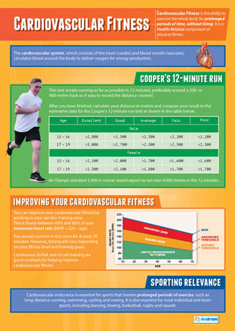 Physical Education CARDIOVASCULAR Professional Fitness Wall Chart Poster - Posterfit