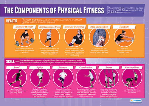 The Components of Physical Education Fitness Wall Chart Poster