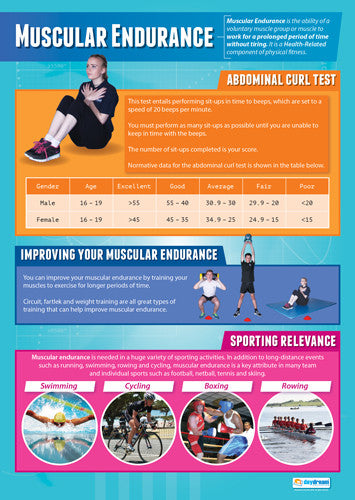 Physical Education MUSCULAR ENDURANCE Professional Fitness Wall Chart Poster - Posterfit