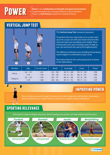 Physical Education POWER Professional Fitness Wall Chart Poster - Posterfit