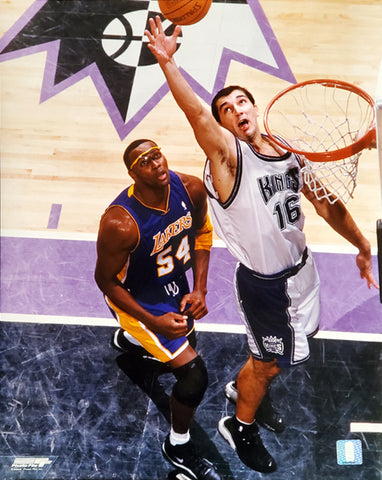 Peja Stojakovic "In The Paint" (2002) Sacramento Kings Premium NBA Poster Print - Photofile 16x20