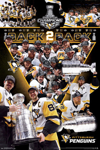 Pittsburgh Penguins Back To Back 2017 Stanley Cup Champions