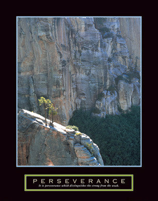 Lone Pinyon Tree "Perseverance" Motivational Poster - Front Line