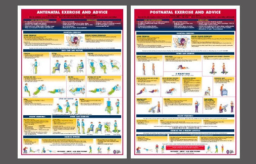 Pregnancy Fitness 2-Poster Set (Antenatal and Postnatal Exercise and Advice Wall Charts) - Chartex Ltd.
