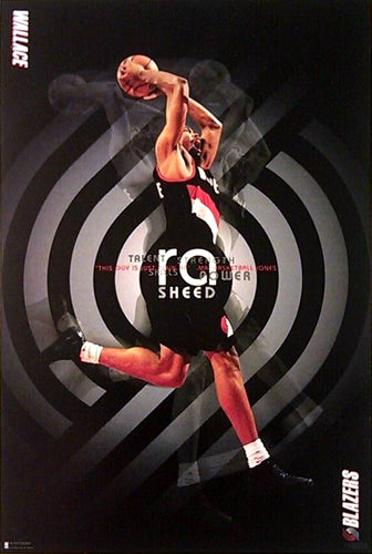 Rasheed Wallace "Rasheed" Portland Trail Blazers NBA Action Poster - Costacos 1997