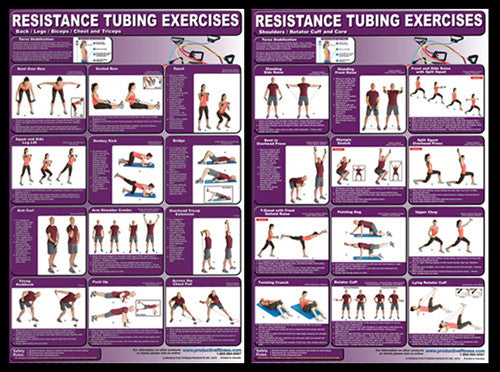 Resistance Tubing Bands Exercises Professional Fitness Wall Charts 2-Poster Combo