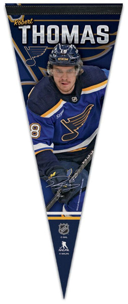 St Louis Blues Shirt Brett Hull Graphic Design St Louis Blues Gift