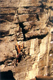 Rock Climbing Action "Climbing the Face" Poster - Nuova