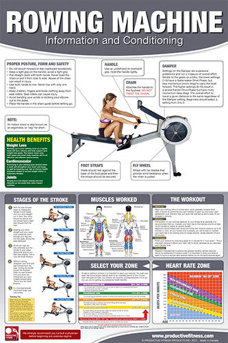 Rowing Machine Professional Gym Fitness Wall Chart Poster (Female Edition) - Productive Fitness