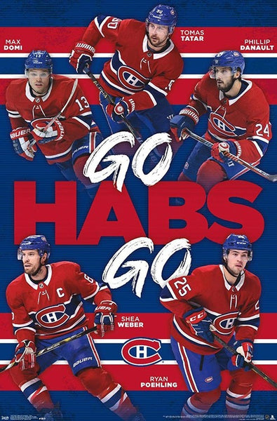 Alex Galchenyuk Sniper Montreal Canadiens NHL Action Poster - Trends  International – Sports Poster Warehouse