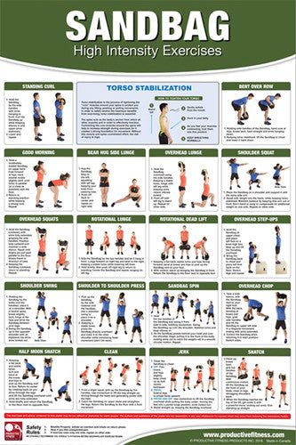 Sandbags High-Intensity Exercises Professional Fitness Wall Chart Poster - Productive Fitness