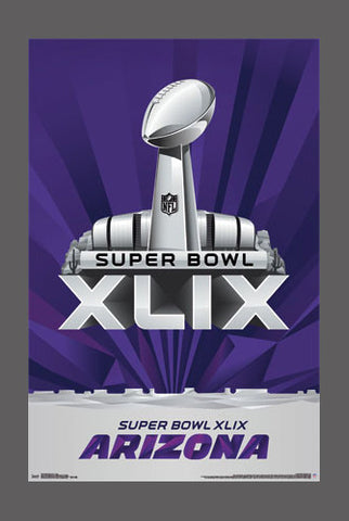 Super Bowl XLIX (Arizona 2015) Official NFL Theme Art Logo Poster - Trends International