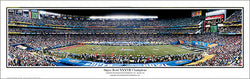 Tampa Bay Buccaneers Super Bowl XXXVII (2003) Champions Panoramic Poster Print - Everlasting Images (FL-153)