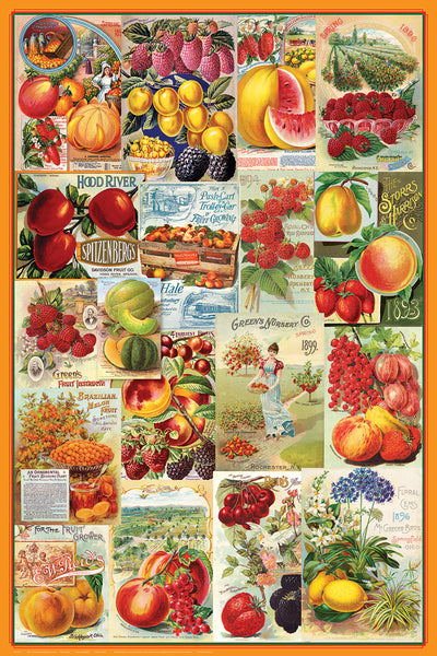 Vintage Seed Catalog Covers Fruit Farming Posters Collage (18 Reproductions) Poster - Eurographics Inc.