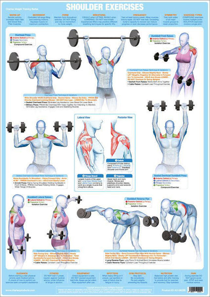 Shoulder Exercises Weight Training Fitness Instructional Wall Chart Poster - Chartex Products