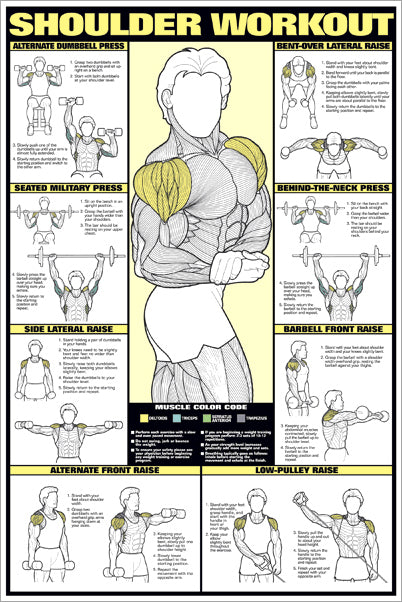 Gym Shoulder Exercises Dumbbells Men's Back Workout Chart