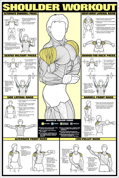 Tone Your Arms Exercise and Fitness Workout Art Print Poster 8x12