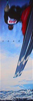 Ski Jumping "Soar" Inspirational Poster - Front Line (12x36)