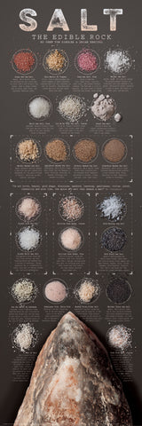 SALT, THE EDIBLE ROCK Kitchen Spices Wall Chart Poster by Tim Ziegler and Brian Keating - American Image