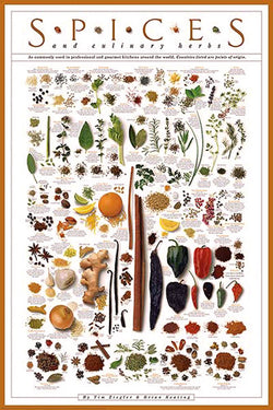 Spices and Culinary Herbs Wall Chart Poster by Tim Ziegler and Brian Keating - American Image