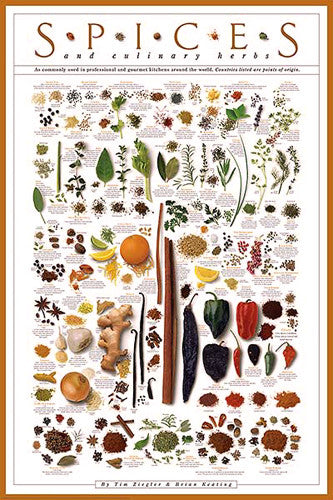 The Herbs and Spices Poster (42 Cooking Ingredients