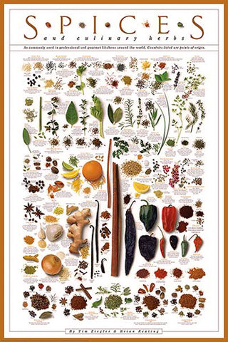 Spices and Culinary Herbs Wall Chart Poster by Tim Ziegler and Brian ...