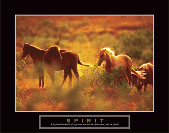Wild Horses "Spirit" Motivational Poster - Front Line