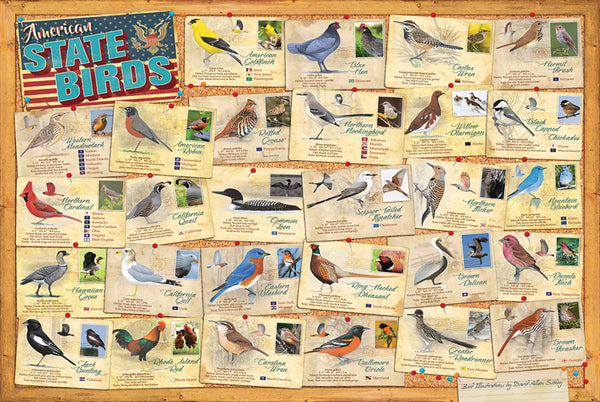 American State Birds Wall Chart Poster (28 Bird Illustrations by David Sibley) - Eurographics Inc.