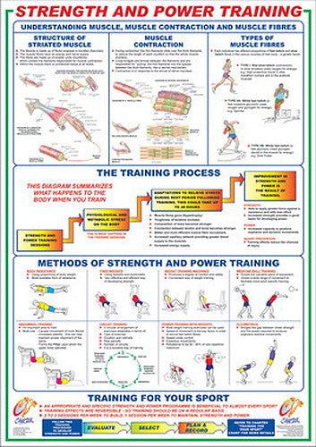 Strength and Power Training Instructional Wall Chart - Chartex Ltd.