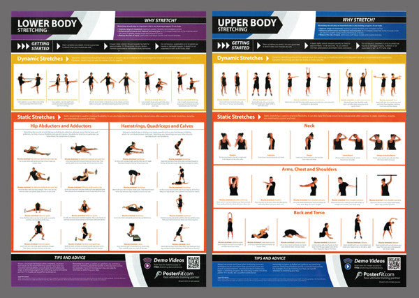 Exercise Stretching Professional Fitness Training Wall Chart 2-Poster ...