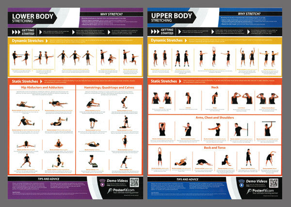 Exercise Stretching Professional Fitness Training Wall Chart 2-Poster Combo (w/QR Codes) - PosterFit