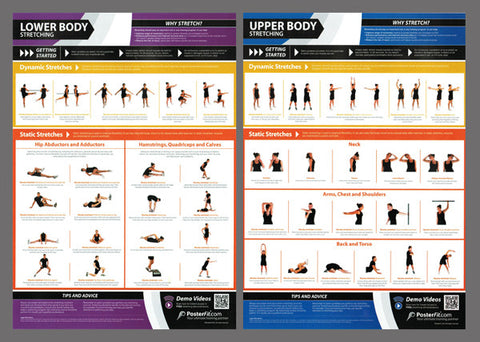 Arms Workout Professional Fitness Training Wall Chart Poster (w/QR Code) -  PosterFit