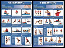 Exercise Stretching Professional Fitness Instructional Wall Charts (2) Posters - PFP