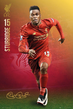 Daniel Sturridge "Signature Series" Liverpool FC Official EPL Football Poster - GB Eye 2016/17