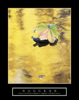 Leaf in Pond "Success" (Happiness) Motivational Poster - Front Line