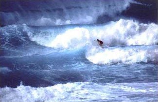 "Surf Hawaii" - Nuova 2001
