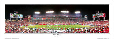 Tampa Bay Bucs "32 Yard Line" Raymond James Stadium Panorama - Everlasting Images