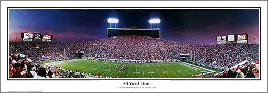 Tampa Bay Bucs "The Sombrero" (Tampa Stadium 1992) Panoramic Poster - Everlasting Images