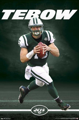 Wayne Chrebet Matrix New York Jets NFL Action Poster - Starline 1999