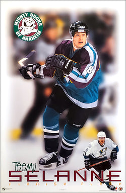 Anaheim Ducks Panoramic Print #2 (Center Ice) Decade Awards NHLDUCK-2