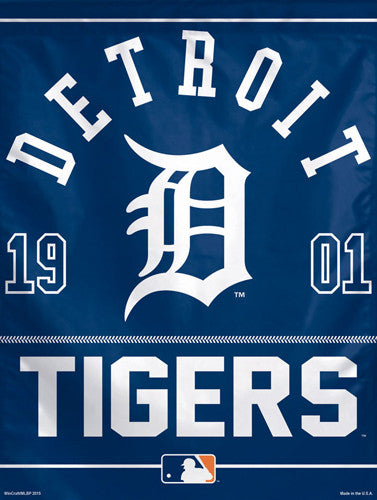 Detroit Tigers Wincraft Foam Finger – Minor League Baseball Official Store