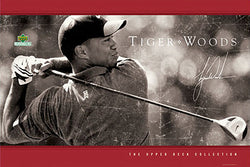 Tiger Woods "Driven" PGA Golf Poster - Upper Deck